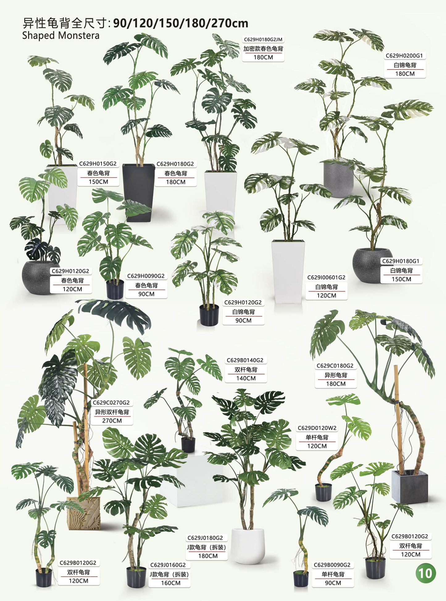 Simulation garden, plant, landscape products and design