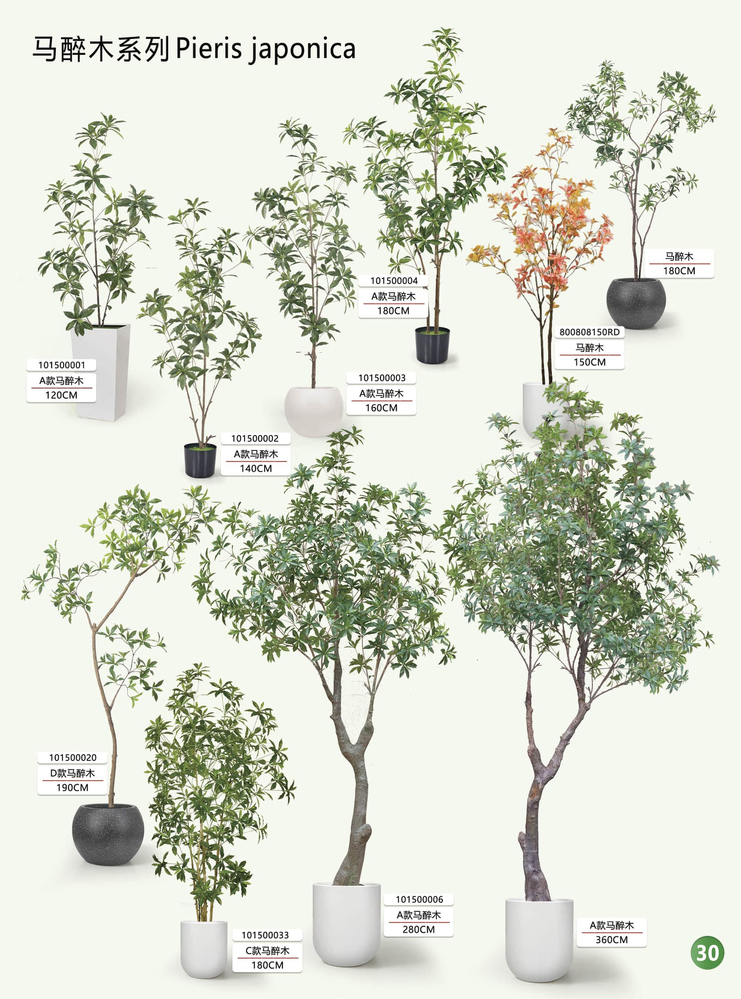 Simulation garden, plant, landscape products and design