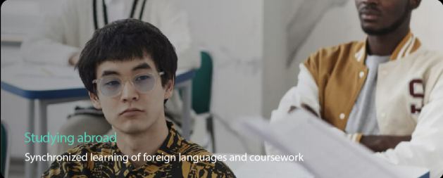 LeionHey G35 Hearing Aid / Translation Smart Glasses