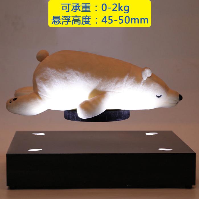 Shoe Display with Magnetic Levitation (2kgs)