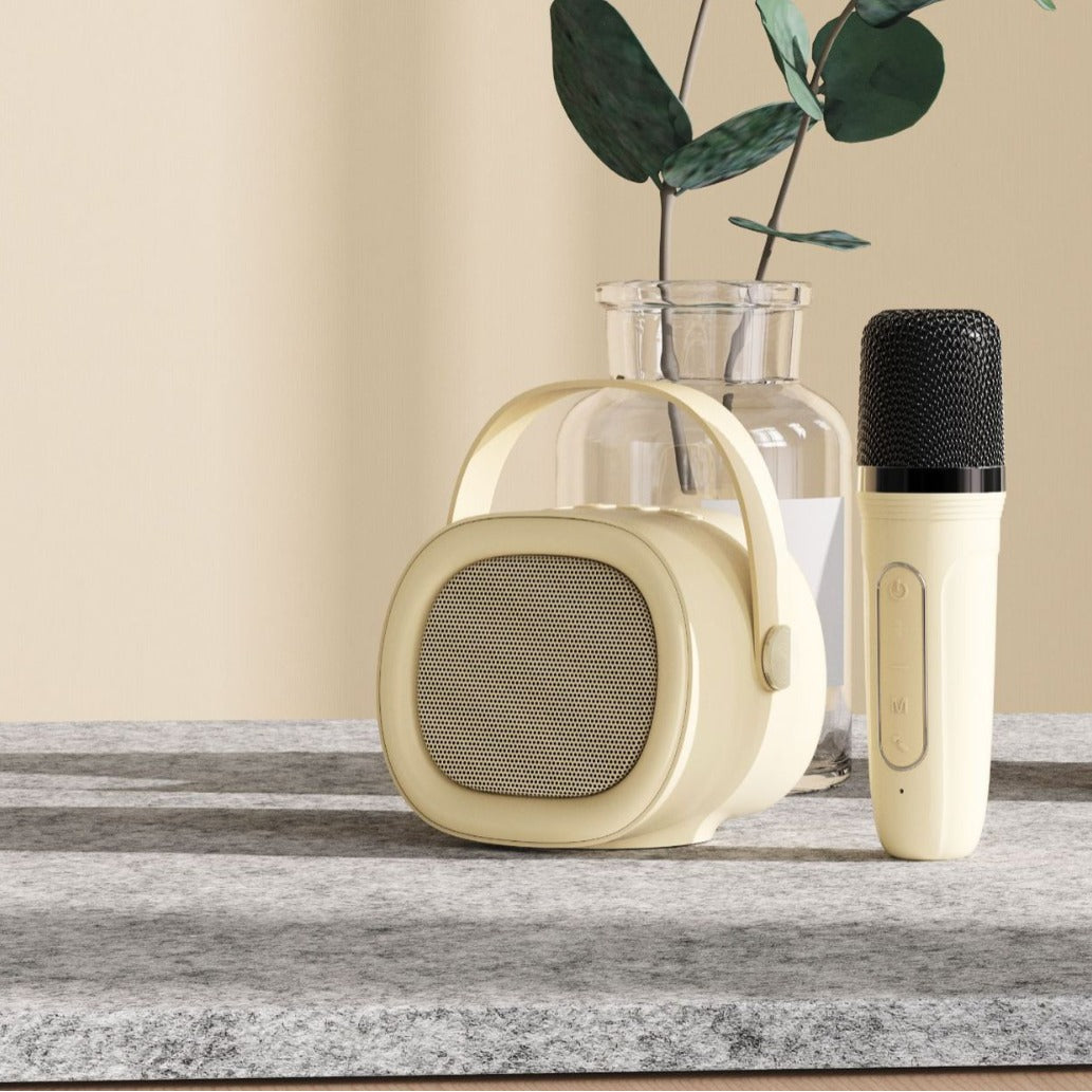 New family gathering karaoke artifact Bluetooth speaker
