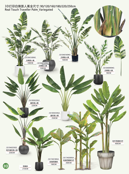Simulation garden, plant, landscape products and design
