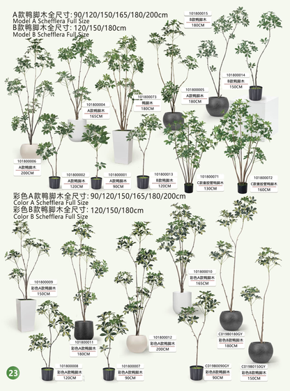 Simulation garden, plant, landscape products and design